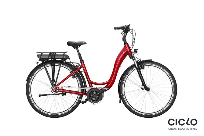 Rent an Electric Bike with Bosch motor - Half-day plan (about 4 hours): see more Porto without rushing