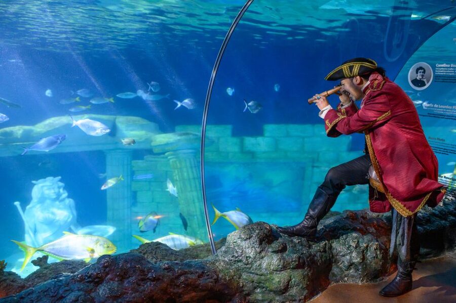 SEA LIFE Porto Full-Day Entrance Ticket - Key things to know before you go
