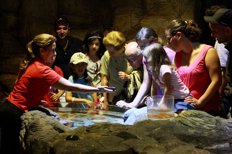 SEA LIFE Porto Full-Day Entrance Ticket - Who should book SEA LIFE Porto, and who should skip