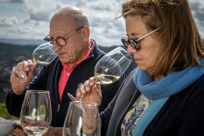 Selection Tasting | Quinta de Santa Cristina Vinho Verde - Key takeaways before you go