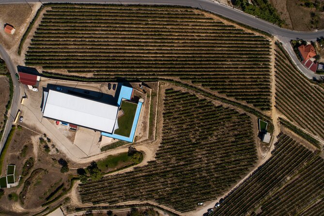 Selection Tasting | Quinta de Santa Cristina Vinho Verde - Why Quinta de Santa Cristina is a smart Vinho Verde stop