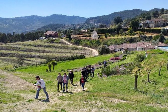Selection Tasting | Quinta de Santa Cristina Vinho Verde - Inside the winery: from grape reception to bottling and labeling