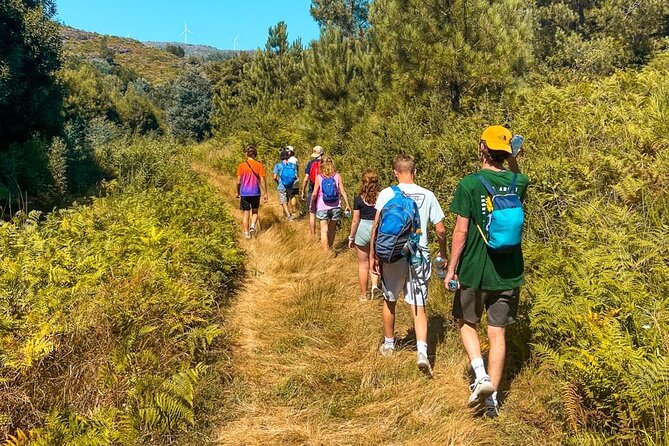 Serra D’Arga Hike, Dive & Dine Like A Local in a Secret Spot - Key highlights you should care about