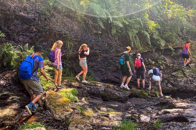 Serra D’Arga Hike, Dive & Dine Like A Local in a Secret Spot - Who should book this Serra d’Arga hike, swim, and dine