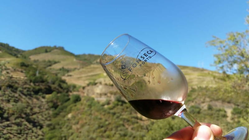 Small Group: Douro Valley Wine Tasting from Porto - Who This Douro Day Tour Fits Best