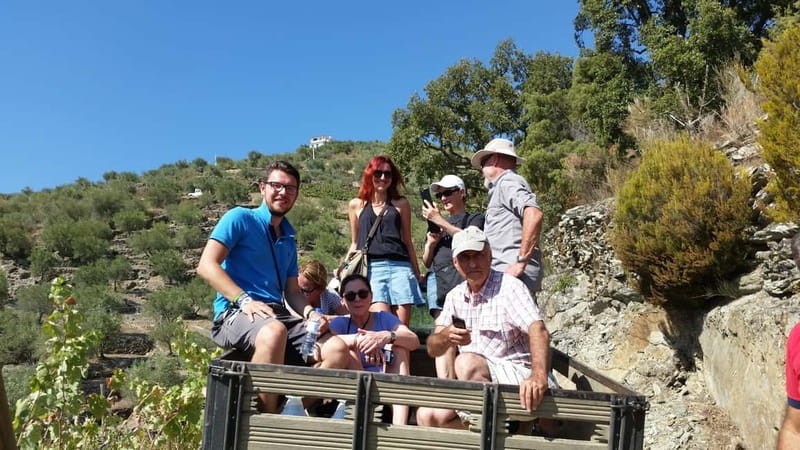 Small Group: Douro Valley Wine Tasting from Porto - Pinhão Winery Time: Port, Wine Tastings, and Views