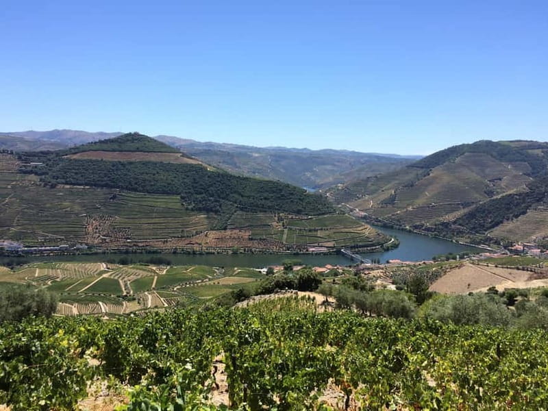 Small Group: Douro Valley Wine Tasting from Porto - Sabrosa Lunch: Traditional Portuguese Food and Pairing