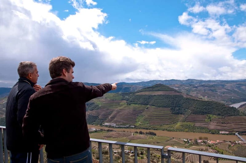 Small Group: Douro Valley Wine Tasting from Porto - What You Taste on This Tour (Wine, Cheese, Olive Oil, More)