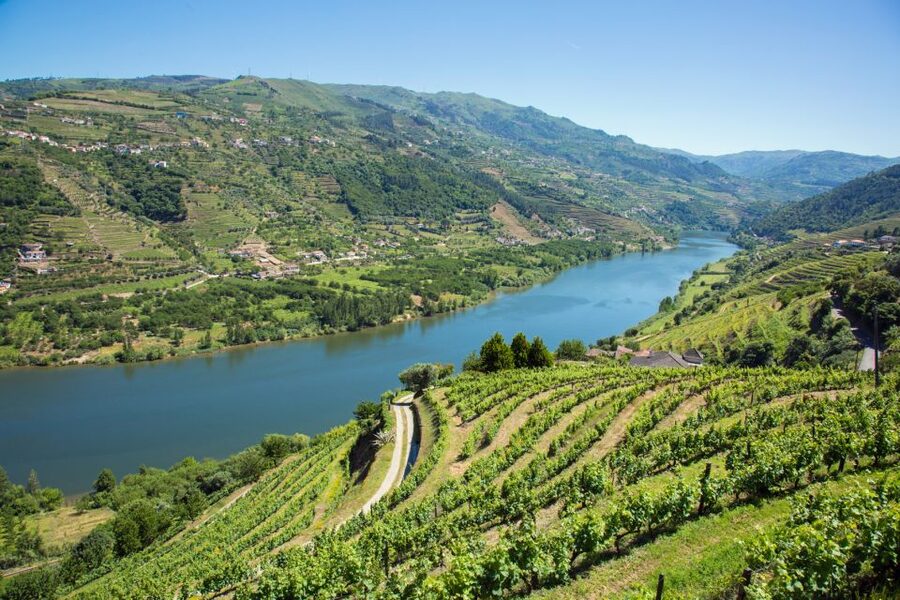 Small Group: Douro Valley Wine Tasting from Porto - Is the $176 Price a Good Value?