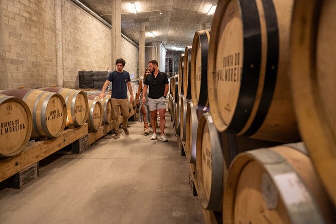 Small Group Douro Valley Wine Tour with Lunch and Cruise - Winery Two: Another Estate, Another Tasting, and a Different Angle on the Region