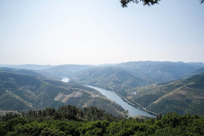 Small Group Douro Valley Wine Tour with Lunch and Cruise - The Douro River Cruise From Pinhão: When the Scenery Slows Down