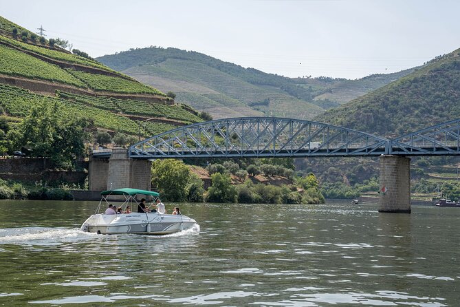 Small Group Douro Valley Wine Tour with Lunch and Cruise - Pickup, the 8-Seat Van, and Why “Small Group” Matters