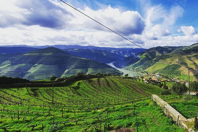 Small Group Douro Wine Valley Tour with Lunch and Wine Tasting - Why the Douro Valley day trip feels worth it from Porto