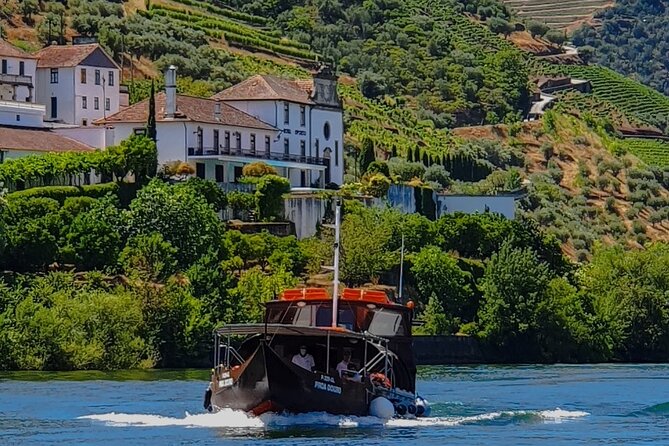 Small Group Douro Wine Valley Tour with Lunch and Wine Tasting - Should you book this Douro wine valley tour?