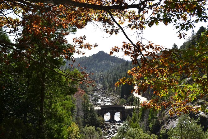 Small Group Geres National Park Full Day with picnic from Porto - What those special stops can look like (so you’re not surprised)
