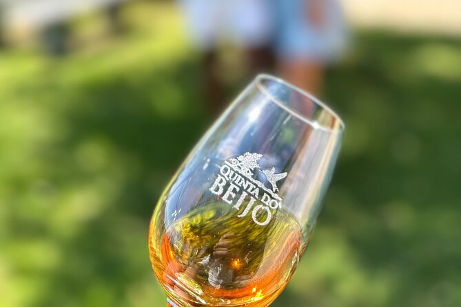 Soul & Excellence - PORT Wine Tasting - Meeting point reality: arrive ready to start