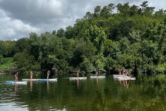Stand Up Paddle Tour - 2.5 hours of family-friendly SUP rhythm