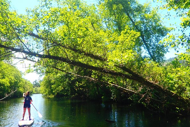 Stand Up Paddle Tour - Price and value: what $59.57 buys you