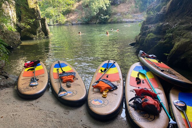 Stand-up-Paddle tour in Paiva river - Key Things I’d Bet You’ll Notice
