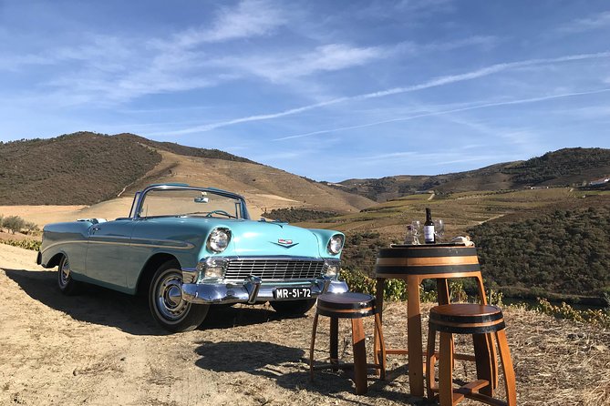 Taste the Douro - Vintage Experience - A Private Douro Vintage Day That Starts in Porto