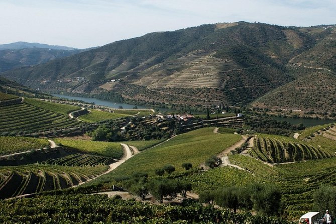 Taste the Douro - Vintage Experience - Lunch in a Typical Duriense Restaurant, Not a Generic Pit Stop
