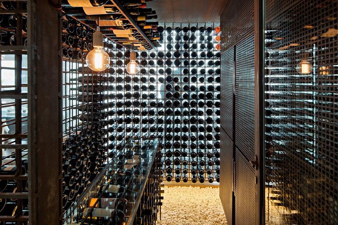 Taste the Douro - Vintage Experience - English-Guided Visits and a Guide Like João Cardoso