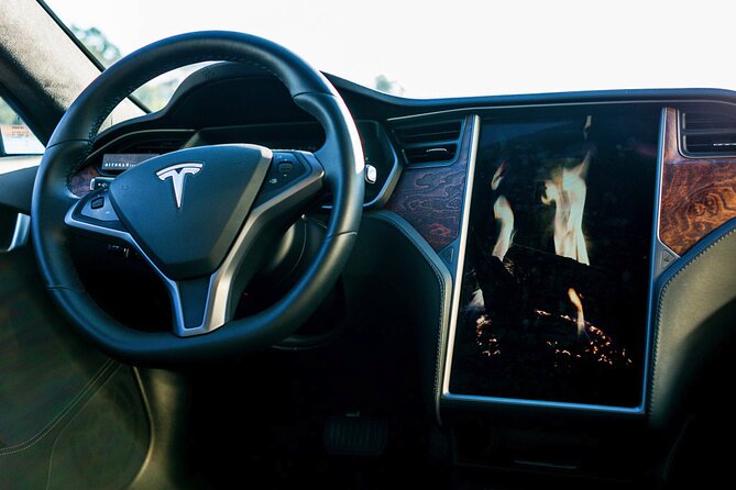 Tesla S Luxury Executive Porto Airport Transfer - Who should book this Tesla S transfer in Porto?