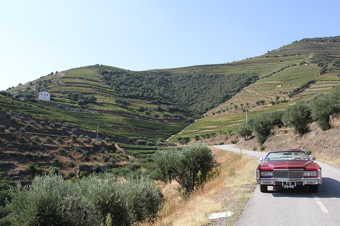 The Luxury Douro tour - English, private-only, and how that affects your day
