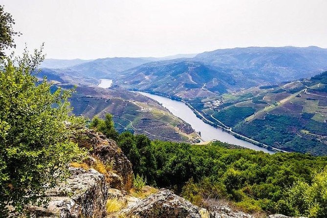 Top Highlights of Douro Valley From Porto Full Day Private Tour - A smooth start from Porto, with UNESCO views in the first hour