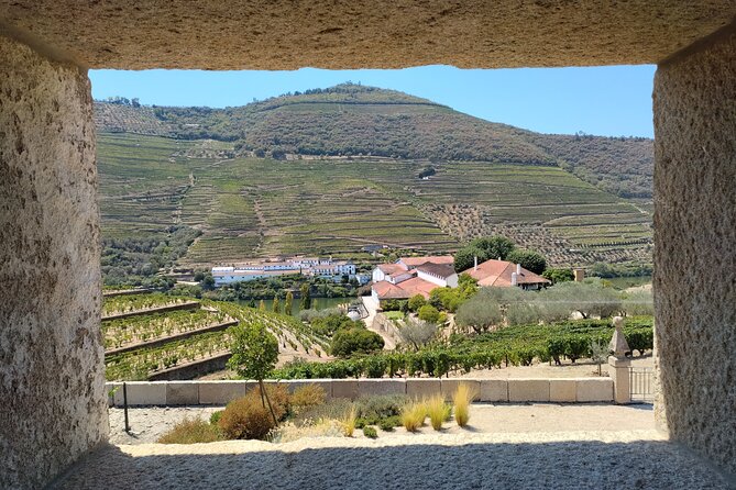 Tour- Douro Wine Region- The Douro Wine Route - Miguel Torga viewpoint: 15 minutes of culture between tastings