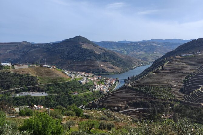 Tour- Douro Wine Region- The Douro Wine Route - Who should book this Douro Wine Route day, and who should skip it