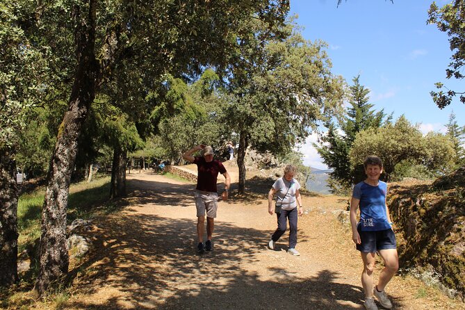 Tour the Douro wine region, and discover the fantastic landscape - Route Style and Photo Stops: How You May Feel the Drive