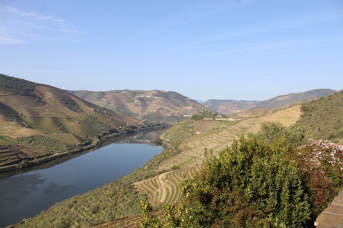 Tour the Douro wine region, and discover the fantastic landscape - Food and Wine: What Is Included, What Costs Extra