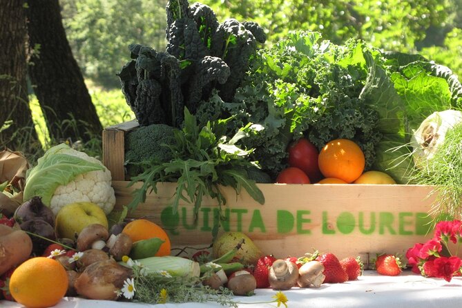 Traditional Cooking Class, Farm Tour & Lunch in the Douro Valley - Key highlights you should care about