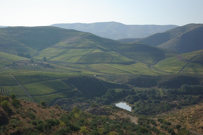 Upper Douro Walk & WineTour - Key things to look forward to
