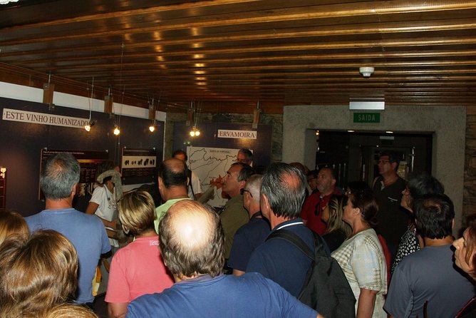 Upper Douro Walk & WineTour - Electric Tesla ride to V.N. de Foz Côa, without the stress