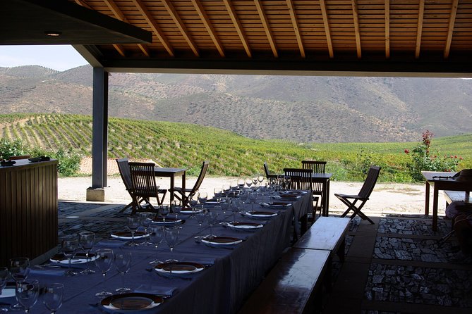 Upper Douro Walk & WineTour - Paleolithic rock engravings in the Côa Valley, the real reason to come