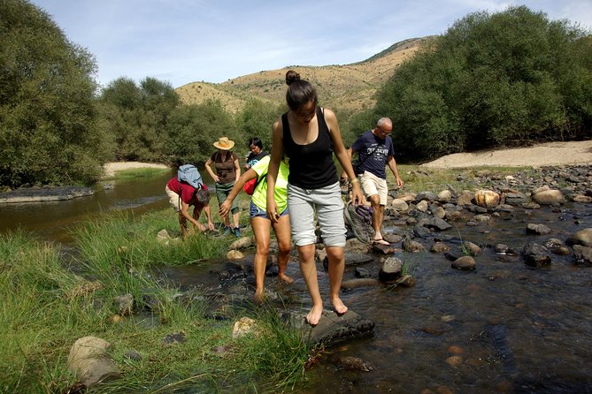 Upper Douro Walk & WineTour - DOC Douro wine tasting plus lunch, the right pace for wine lovers