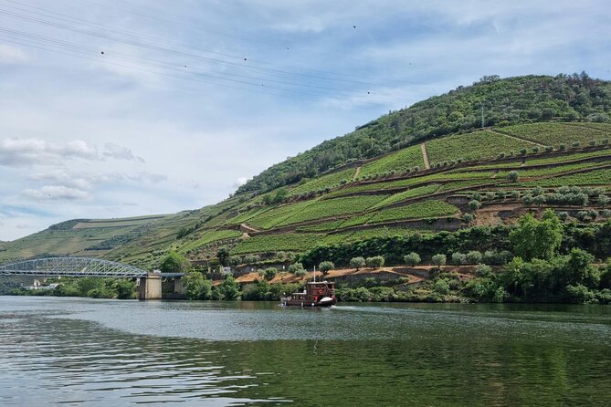 VALE DOURO, Premium Wine Tour, Wine Lunch, Private Boat - The Van Ride Out of Porto: Comfortable, Scenic, and Worth the Patience