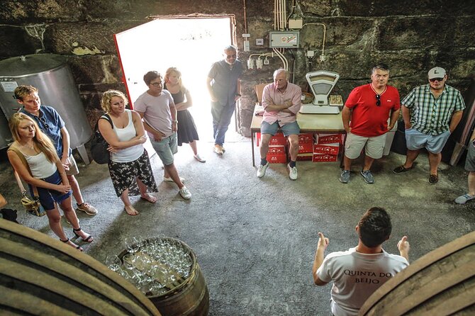 VALE DOURO, Premium Wine Tour, Wine Lunch, Private Boat - The Second Winery and Port-Style Tastings: How the Day Builds Flavor
