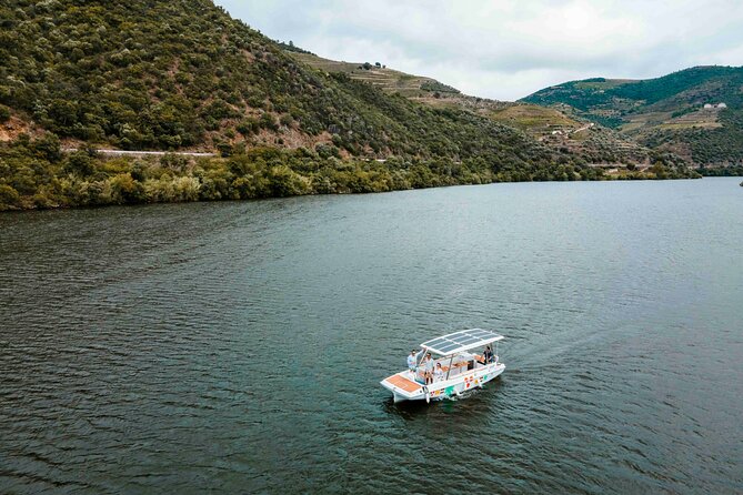 Valley of the Douro: Private Tour Electric Boat 1h With Wine Tasting - A quiet, private solar boat on the Douro from Pinhão