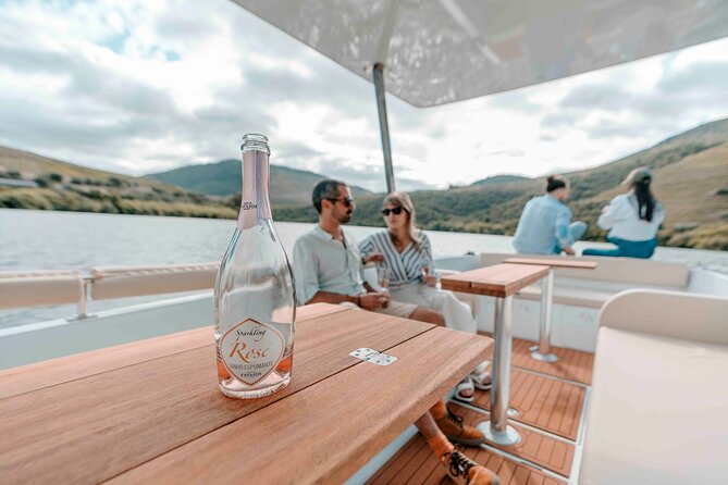 Valley of the Douro: Private Tour Electric Boat 1h With Wine Tasting - Price and value for a private group, not a mass cruise