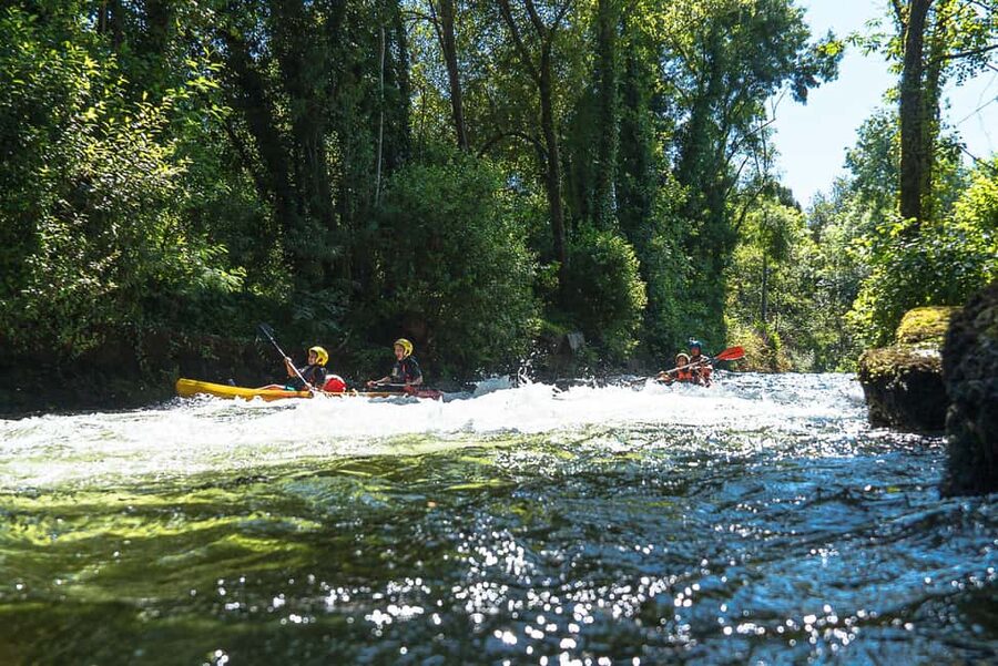 Viana do Castelo: Kayak Tour at Lima River - What is included for $114 per group, and how to think about value