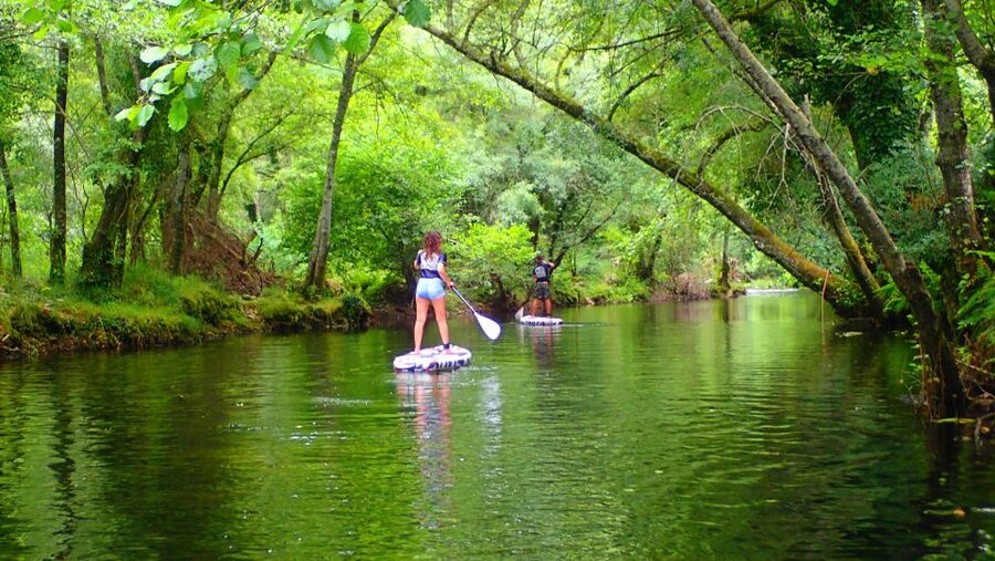 Viana do Castelo: Vez River SUP with Transfer Options - Who should book this Vez River SUP trip?