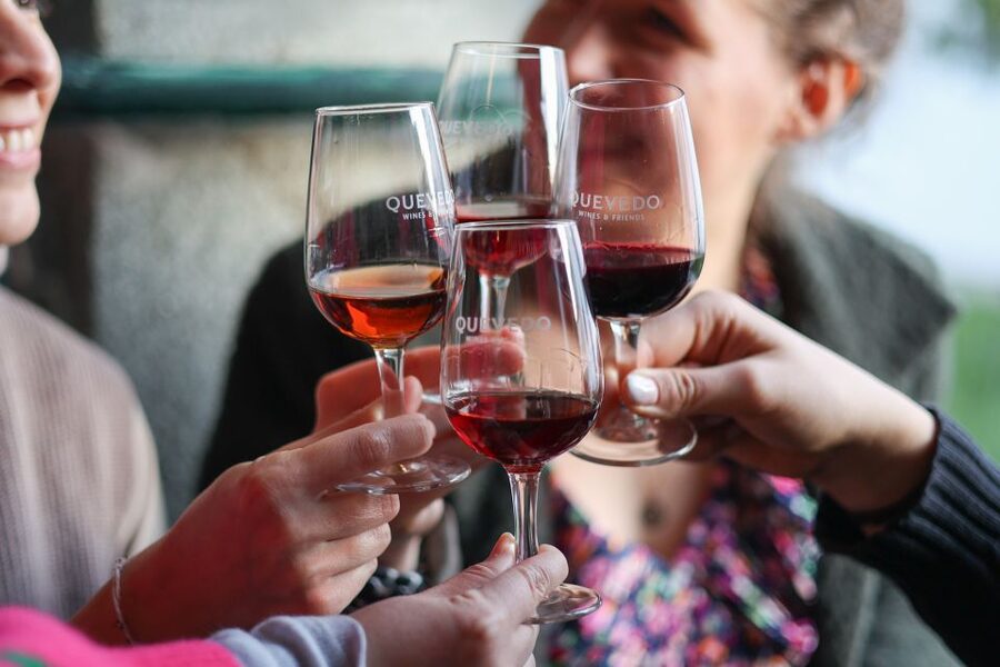 Vila Nova de Gaia: Porto Discovery Tasting - Should You Book Vila Nova de Gaia: Porto Discovery Tasting?