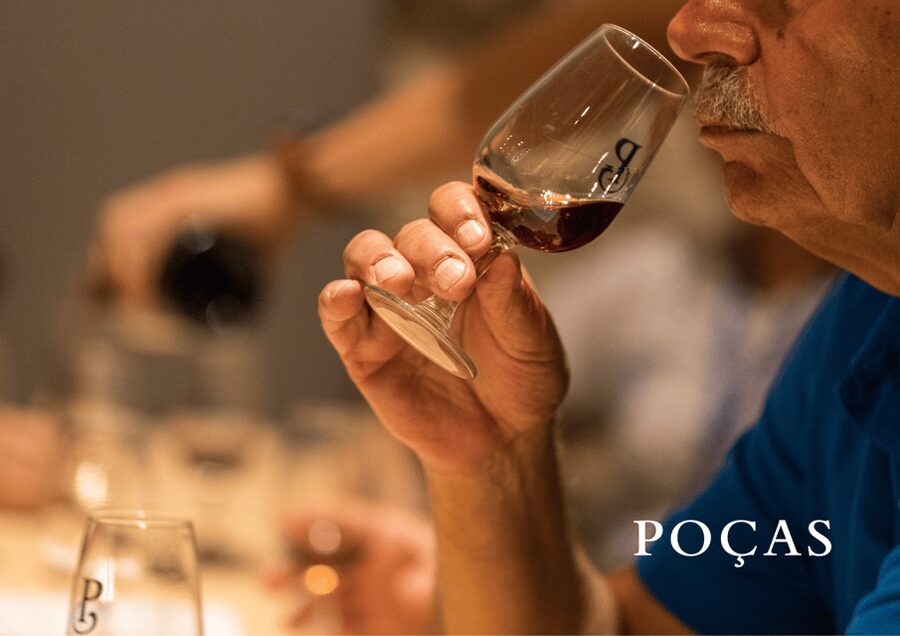 Vila Nova de Gaia: Winery Tour with 2 DOC Douro & 1 Port - Tasting time: DOC Douro wines you can actually compare