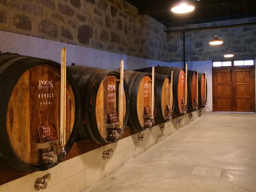 Vila Nova de Gaia: Winery Tour with 2 DOC Douro & 1 Port - Price and value: what $27 buys in 90 minutes