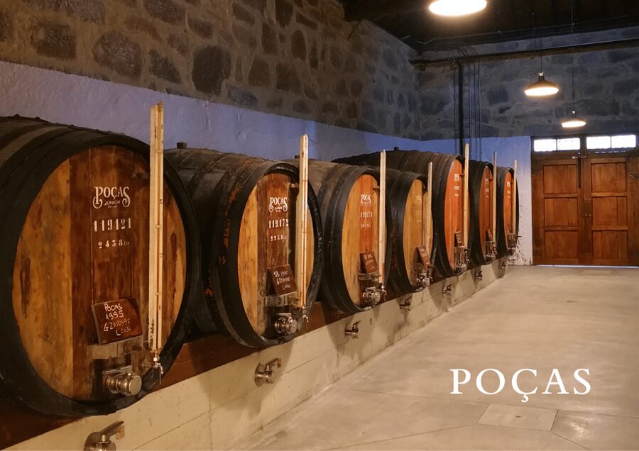 Vila Nova de Gaia: Winery Tour with 2 DOC Douro & 1 Port - The 100-year aging cellar visit, and what you learn there