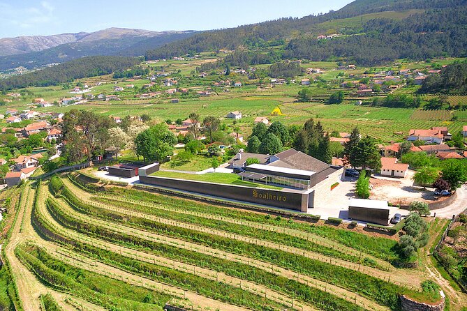 Vinho Verde Experience with 2 Wineries and Lunch - Key things I’d watch for before you go