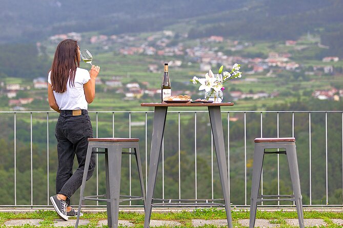 Vinho Verde Experience with 2 Wineries and Lunch - O Adérito lunch: a traditional meal with regional wine included